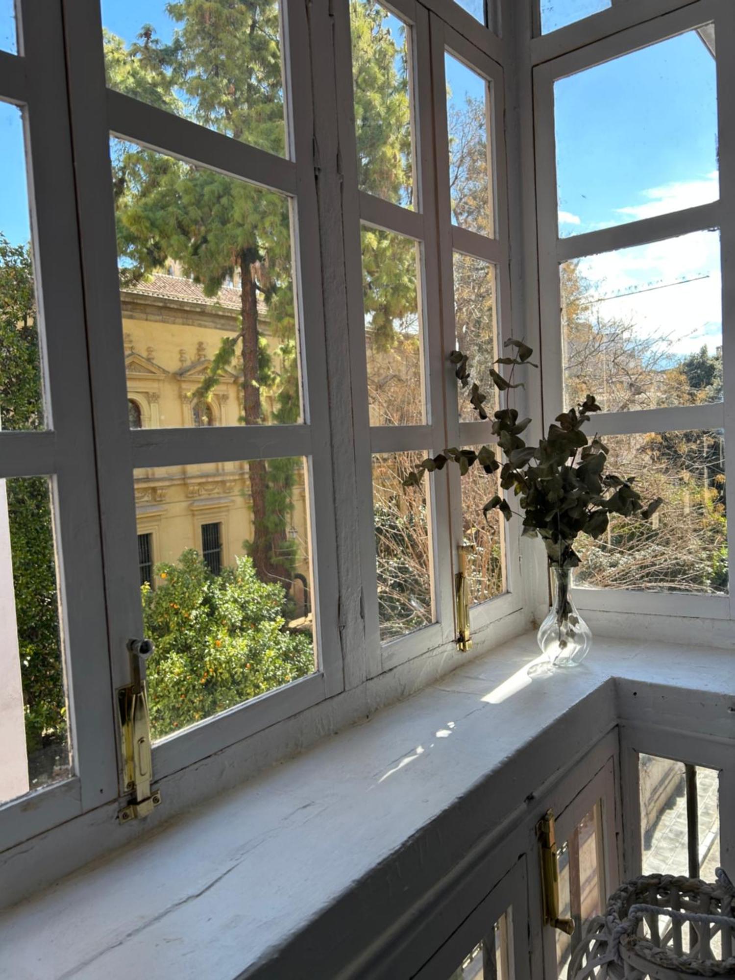 Apartamento Jardin Botanico Grenade Extérieur photo